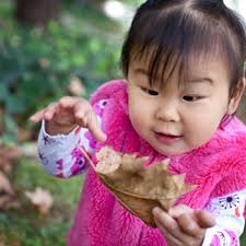 NANCY ROTHSTEIN PHOTOGRAPHY