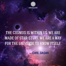We Are A Way For The Universe To Know Itself The Cosmos Is Within Us We Are Made Of Star Stuff We Are A Way For The Universe To Know Itself Carl Sagan Best Vibrators Cosmos