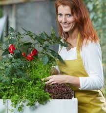 Gartencenter Beier Grun Erleben Gemuse