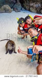 Check spelling or type a new query. Monkey Beach Thailand Image Photo Free Trial Bigstock