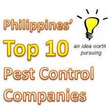 Boaz pest control services (bpc) is lead by an she was also awarded as a certified pesticide applicator. Top Pest Control Companies In The Philippines Pest Control Philippines