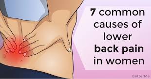 Anatomy of the back organs. 7 Common Causes Of Lower Back Pain In Women