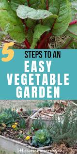 How many hours of sun does a vegetable garden need. 5 Steps To An Easy Vegetable Garden