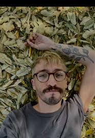 Árbolitos rubios y gatos salvajes 💛