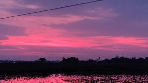 How to use sky in a sentence. Sky Is Pink Post Amphan Pictures From Bhubaneswar Enthral Twitter