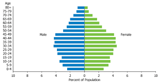 Population pyramid population of south korea, 2020 . South Korea Geographical Focus Prb