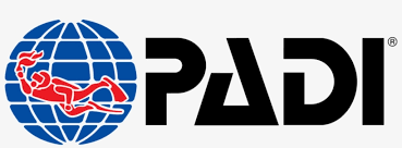 Use it in your personal projects or share it as a cool sticker on tumblr, whatsapp. Packers Logo Png Padi Logo Png Png Image Transparent Png Free Download On Seekpng