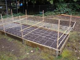 Great Support Structure For Peas Pea Trellis Trellis Netting Trellis