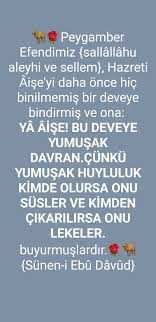 Hayvanlara Merhamet 2020 Guzel Soz Hayvan Yaya