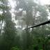 Media image for honduras from whnt.com
