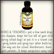 Pin By Toni Mcmahon On Brilliant Tips Lice Remedies Essential Oils Work Tea Tree Oil For Acne
