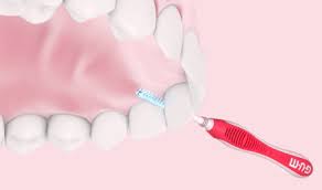 Como Limpiar Entre Los Dientes Sunstar Gum