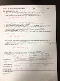 The largest class of organic compounds, including starch; Answers To The Carbohydrate Worksheet Ms Ghtaura S Class