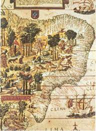 Pau-brasil: história, origem do nome, exploração - Brasil Escola