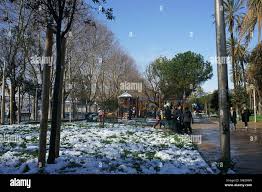 Here Are The Best Cities For Snow-Birds – The Hill