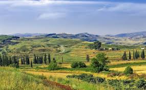 Visit Nabatieh Governorate: 2025 Travel Guide for Nabatieh Governorate,  Lebanon