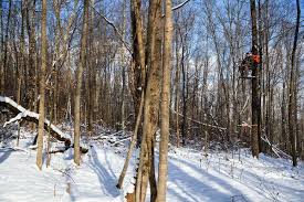 Maybe you would like to learn more about one of these? For Hunters In The Woods A Quiet Killer Tree Stands The New York Times