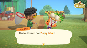 Can You Grow Turnips In Animal Crossing: New Horizons? | Allgamers