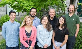 Image result for Tarenna leonardii