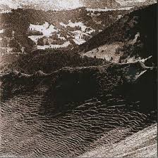 Image result for Oreobambos