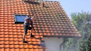 Check spelling or type a new query. Le Demoussage Des Toitures En 5 Questions