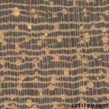 Image result for Pentadesma