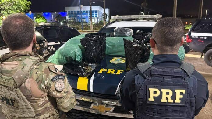 PRF apreende 35 kg de skunk após perseguição de 35 km e detém quatro suspeitos em Moreno - Portal CNF