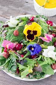 Forest Salad With Carrot Raspberry Ginger Dressing Eat Thrive Glow Recipe Side Salad Recipes Raw Vegan Recipes Vegan Foods