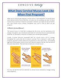 If the white discharge before period is odorless. What Does Cervical Mucus Look Like When First Pregnant By Conceiveeasy Issuu