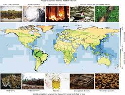 Help Restore Brazil's Governance Of Globally Important Ecosystem Services |  Nature Ecology & Evolution