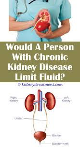 Diet And Kidney Function Kidney Disease Diet Chronic