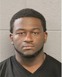 ᐅ Illinois Criminal Records 2009-2025