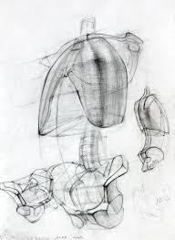 Check Out Art Dlscussion Anatomicheskij Risunok Risunok Nabroski
