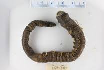 Image result for Aneilema arenicola