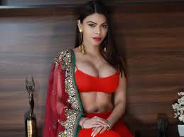 Image result for sherlyn chopra