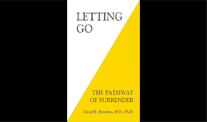 David hawkins explains in this video how to reach higher states of consciousness by going directly within, interested in the lecture. Get Dr Hawkins Quotes Daily Practical Steps To Letting Go Blog Of Mariya Pak Dogtrainingobedienceschool Com
