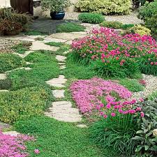 42 perfect landscaping ideas for small yards outdoor ideas pinterest via in.pinterest.com. Ground Cover Plants Everything You Need To Know This Old House