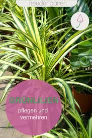 Pin Auf Ideas