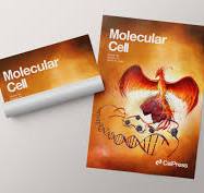 Molecular Cell Cover Art | Endosymbiont