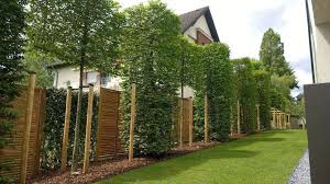 Pin On Garden Ideas