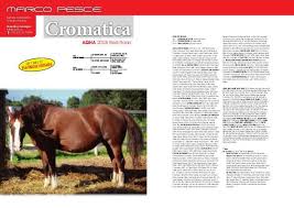 reiner of europe best in europe mare register 2016 page 71