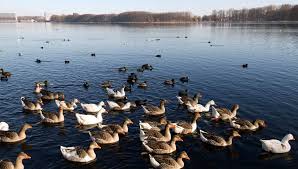 Things to do out west. Things To Do In Nieuw West I Amsterdam