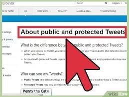 Cara yang akan kami ulas sangat mudah dan bisa dipraktikkan oleh orang awam sekalipun. How To Make Your Twitter Account Private 10 Steps With Pictures