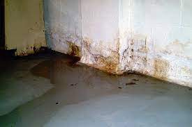 Moisture comes through the walls and floor causing mold in basement areas. 11 Tips To Get Rid Of Basement Mold