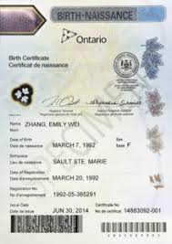 And sometimes, it's something that can boost a person's confidence. Birth Certificate Wikipedia