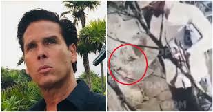 El actor aclara que el evento masivo que se realizó en uno de sus hoteles contaba con todos los permisos de las autoridades. Video Muestra A Sujeto Tratando De Prender Fuego A Hotel De Roberto Palazuelos En Tulum Qroo Sinembargo Mx