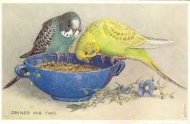 Lot Of 6 Parakeet Vintage Valentines Lovebird Postcards Ebay Bird Artwork Bird Art Birds Painting