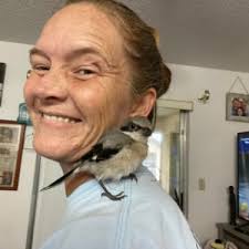 Burning Blaze: MMF Bisexual Romance (Taming the Beast, Band 2) : McAnders,  Alex: Amazon.de: Books