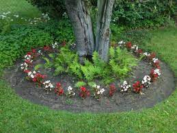 Wax Begonias Deer Resistant Plants For Beds And Borders Homeyardyou Com Deer Resistant Plants Flower Landscape Plants