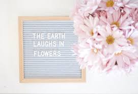Letter Board Spring Flower Quotes Positivity Flowerpot Lettering Letterboard Flower Quotes Love Flower Quotes Lettering